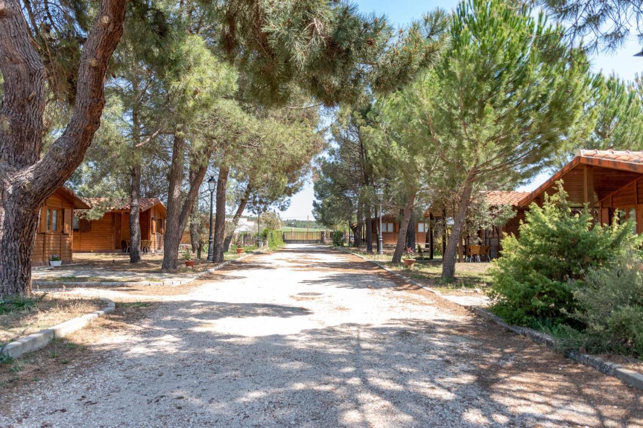 Las Casitas Del Pinar Bayubas de Abajo المظهر الخارجي الصورة